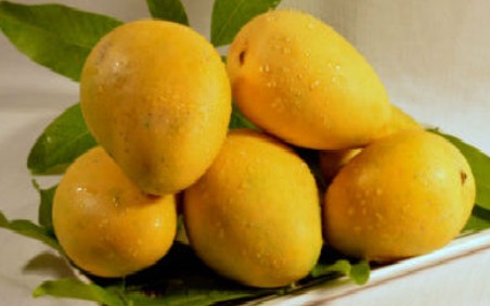 Mangoes
